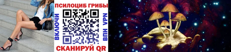 Псилоцибиновые грибы Psilocybine cubensis  Инта 